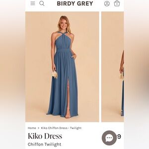 Birdy Grey Kiko bridesmaid dress size xs chiffon twilight